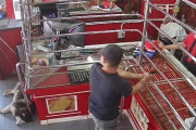 【ｽﾔｧ】宝石店の番犬、店に押し入った強盗に気付かず幸せそうな寝顔で爆睡こいてしまうｗｗｗｗ