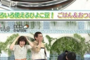 韓国人「日本の朝の放送事故ｗｗｗ」