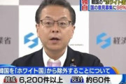 韓国人「北朝鮮でも無理だ！」日本国民の98%が「ホワイト国」から韓国を除外することに同意！こんな数字は独裁共産国以外からは不可能だろ‥　韓国の反応