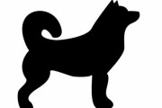 「うちのハスキー犬の行動は、冬場になると誤解を受けやすい」→その理由がこちら