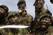 韓国人「韓国人は戦闘民族だというのに、なぜ〇人率が低いのでしょうか？」　韓国の反応
