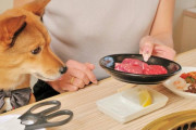 外国人「日本には愛犬と一緒に食事が出来る焼肉店があるらしい！」