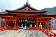海外「日本ってどこも神秘的だよね・・・」宮島の美しさに魅了された外国人