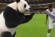 中国人「日韓サッカーの差は、もう隠しきれないほど大きくなっている」　中国人「日本サッカーは世界一流」「韓国よりも中国の心配をしろ」