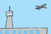 【世界】飛行機に乗れないよ【ポーランドボール】