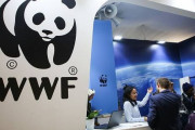 海外「統計によると、日本人の72%は中国の違法な動物生鮮市場を閉鎖すればパンデミックの再発を防げると考えている」