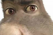 【画像】これにしか見えなくなる呪いをかけました