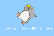 日本の動物園の「ペンギンの群れにしれっと混ざる謎の生き物」が思わず笑ってしまう！【台湾人の反応】