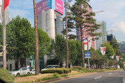 韓国人「日本国旗だけがない…江南の道で見た韓国人の幼稚な反日思考」