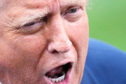 【制裁】トランプ、スイスにもブチギレ関税39％→韓国「ウリは無事…と思ったか？」