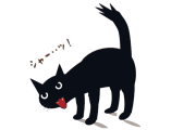 日本で「シャーシャー猫だけの譲渡会」が開催ｗｗｗ【タイ人の反応】