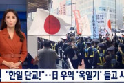 日本人「日韓断交!」「「GSOMIAを破棄せよ!」日本で旭日戦犯旗を掲げた「嫌韓デモ」が行われる！　韓国の反応