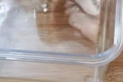 ゼリーにとじこめられたマッシュルームの世界が海外で話題に←これ食べたい？