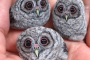 千差万別な石の形そのままにリアルな動物を描く日本人アーティストの作品に海外感動