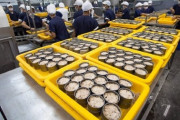 「近所の猫は幸せだね」ツナ缶の作り方　海外の反応