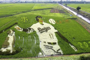 【海外】「マジすげえ....」大谷翔平を描いた田んぼアートに海外も興味津々！