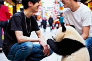 中国人「埼玉、ついに最下位」　中国人「なんでだよ！」「茨城にイジられる埼玉」「鳥取は頑張ってる」