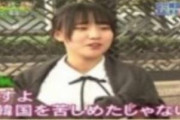 韓国人「捏造と操作で絶え間なく嫌韓を煽る日本」日本国内の嫌韓が根絶されない理由とは？　韓国の反応