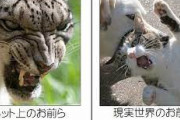 台湾人「日本の5ch民って一体どういう奴らなん？」　台湾の反応