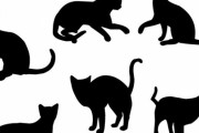 「パパの家に行ったら、野良猫たちがこんなことになってた…」ほっこり写真