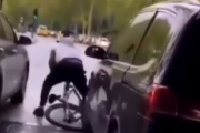 これは完全に確信犯。路上で転んだ自転車をひこうとするドライバー。海外の反応