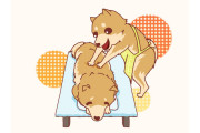 日本人が柴犬の顔を美顔ローラーでマッサージした結果→なんか思ってたのと違うｗｗｗ【台湾人の反応】