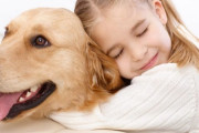 オムツ姿で行方不明になった3歳児、2頭の飼い犬が寄り添って守る