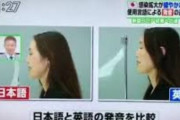 ［日本語VS韓国語］日本人「日本語は朝鮮語より機能的で優秀な言語、「ひらがな」をマスターすれば、漢字を覚え英語のバイリンガルに成れる」　韓国の反応