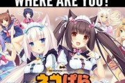 外国人「最後にプレイしたゲームの世界で一生過ごせ」←お前らどうなる？