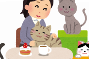 韓国人「動物カフェが禁止に...餌やり・触るのも禁止…ﾌﾞﾙﾌﾞﾙ」
