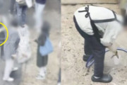 ゴミ箱の氷を再利用…広蔵市場の衛生問題に韓国で「もう行くな」の声が加速