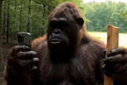 【海外】AIを駆使したビッグフット動画が話題！奇妙な新しいSNSトレンドとは？