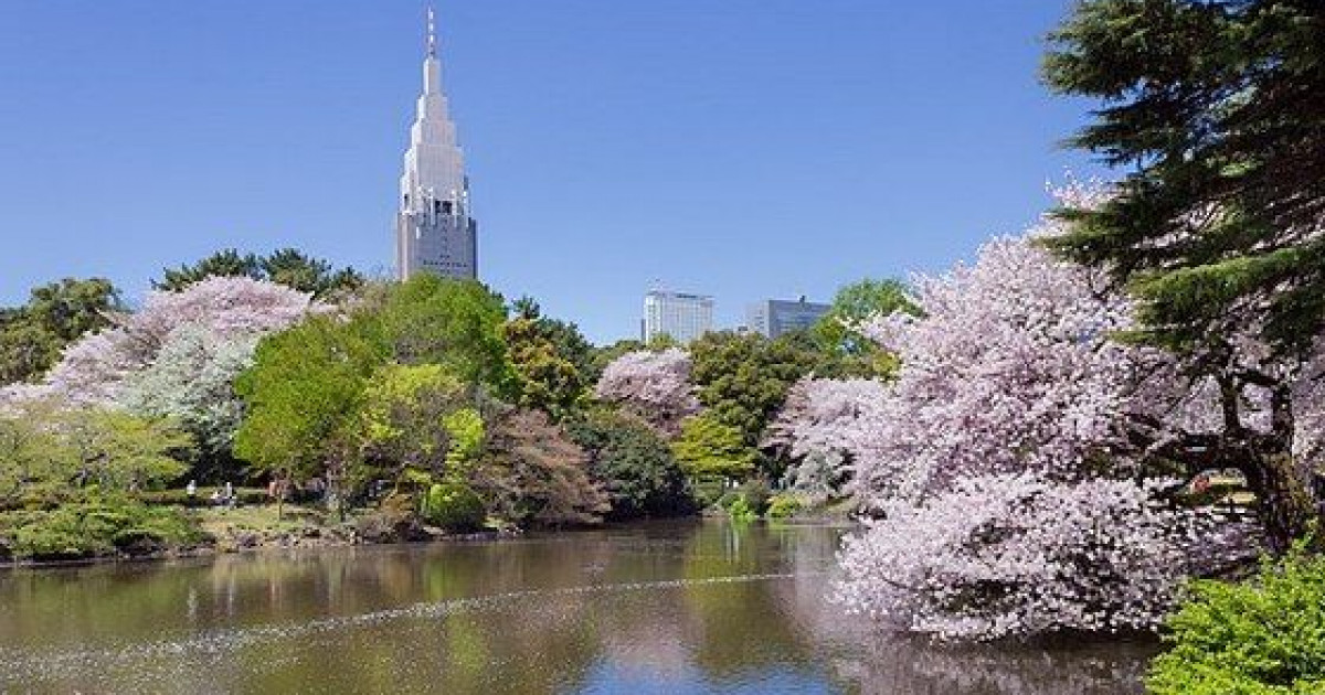 海外「お祖母ちゃんの誕生日に日本旅行をプレゼントするんだけど花の名所はどこだろう？」日本の花の名所に対する海外の反応 | 海外の反応アンテナ