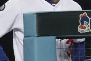 日本人「韓国では二度と大リーグの試合は行われないだろう」韓国人「LAD監督『卵投げ事件』で日本メディアが激しい反応」　韓国の反応