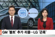 【悲報】韓国人「GMがLGに1兆ウォン規模の巨額賠償請求！欠落バッテリーのリコール問題で」　韓国の反応