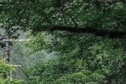 京都・貴船の風景に世界が騒然！←「日本って本当にフォトジェニックだな」（海外の反応）