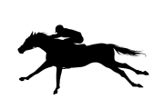 日本の競走馬の名前がもはや馬じゃなくて笑ったｗｗｗ【台湾人の反応】