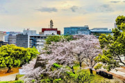 韓国人「日本の熊本というところを知っている人はいるか？ちょっと聞きたいことがあるんだが」
