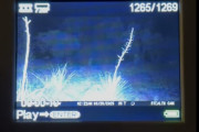 【海外】アリゾナで不気味な謎の影を捉えた！トレイルカメラ映像の衝撃とは？