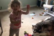 マラミュートとおままごと♪　楽しそうな女の子とジト目の犬の対比がおかしい
