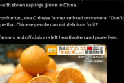 海賊肯定派「中国が日本のみかんを海賊したぞ。素晴らしい良くやった！日本は果物を高く売るな！」