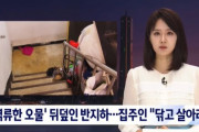【悲報】韓国人「韓国半地下に汚物が逆流‥」汚物塗れになっても大家が部屋の修理を拒否！借家人が泣き寝入りに‥　韓国の反応
