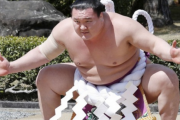 外国人「どうして相撲ゲームが存在しないんだ？日本の国技だろ」