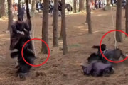 韓国紙「ロープに縛られたまま走り、転んだ馬、その後死ぬ ... 『太宗 イ・バンウォン』の撮影現場で何が」韓国の反応