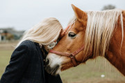 【海外】ridingや競走、農作業に最適な6種類の馬を徹底解説！あなたにぴったりの馬が見つかる秘訣
