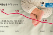 韓国人「誰が韓国で子供を産むだろうか？」昨年は24万人だけ誕生、韓国人口最大幅の減少、出生率最低