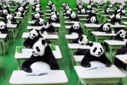 中国人「日本の大学入試共通テスト、中国語の問題をみんなで解いてみよう！」　中国人「全く分からない」「こんな読みにくい中国語を初めて見た」