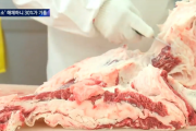 【K-牛】世界に誇る韓国産牛肉「韓牛」、品質を落とし値段を上げることに成功