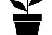 「顔が描かれた大きな鉢植えに…立派なヒゲが生えていた」
