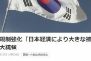 文大統領「日本経済により大きな被害が訪れることを警告する」→日本メディアが「日本経済に大きな被害」と速報で報道！　韓国の反応